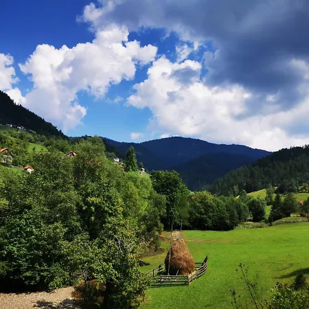 Nena Tara Apartament