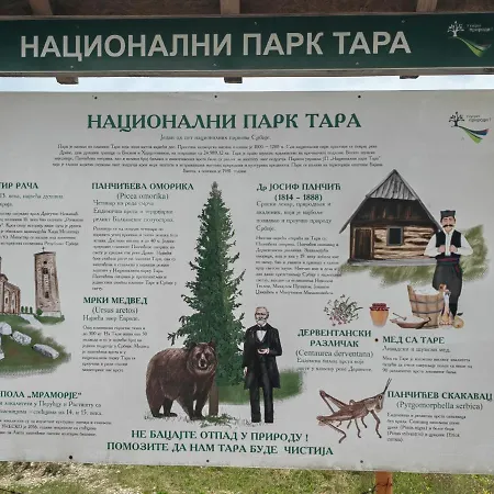 Nena Tara *