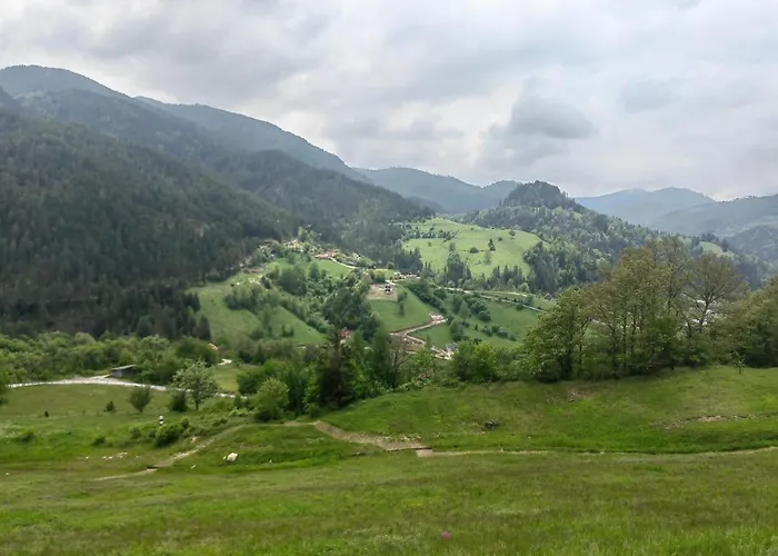 Apartman Nena Tara Kaludjerske Bare